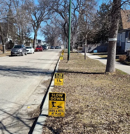 A photo of Hart Ave, showing a long string of "slow down" signs.